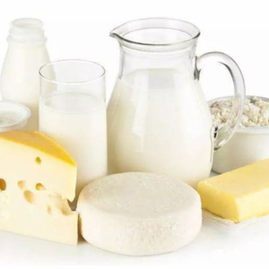 dairy products.jpg