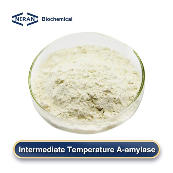 Intermediate Temperature Α-amylase
